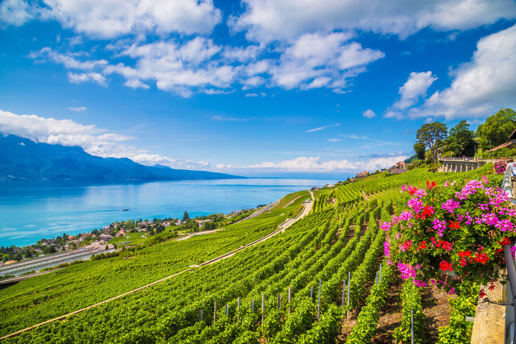 Beautiful Lavaux wine region at Lake Geneva, Canton of Vaud, Switzerland